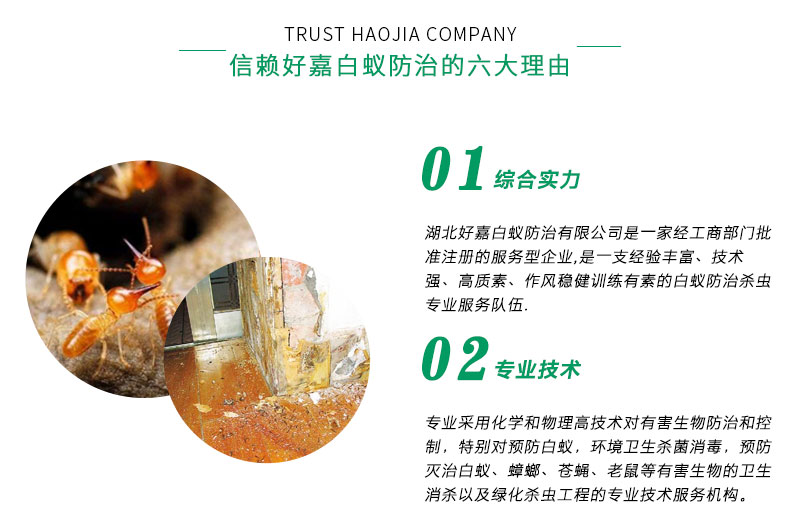 防治别墅装修白蚁用什么药_别墅白蚁防治方案_别墅装修如何防治白蚁