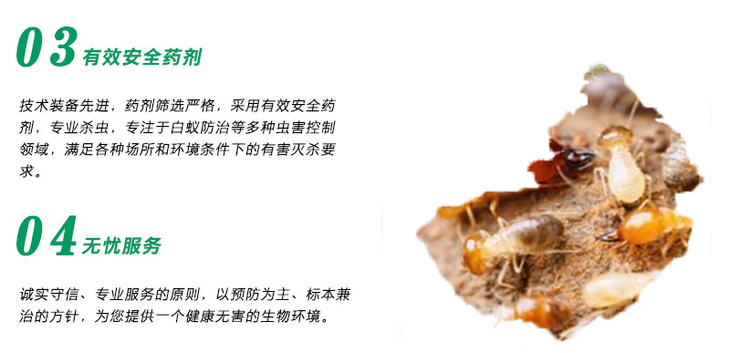 别墅白蚁防治方案_防治别墅装修白蚁用什么药_别墅装修如何防治白蚁