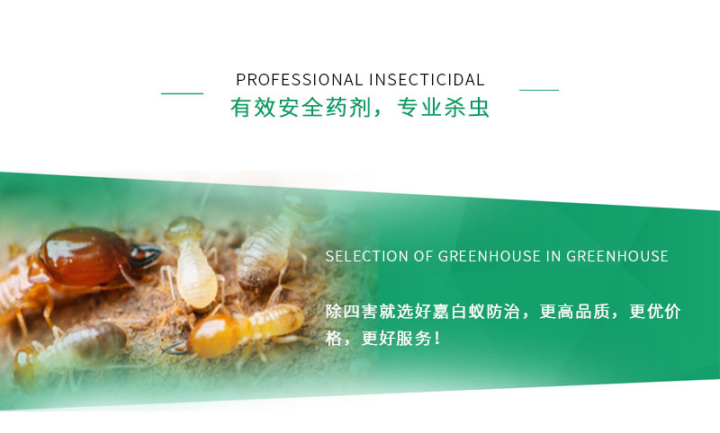 别墅装修如何防治白蚁_别墅白蚁防治方案_防治别墅装修白蚁用什么药