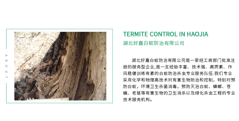 防治别墅装修白蚁用什么药_别墅白蚁防治方案_别墅装修如何防治白蚁