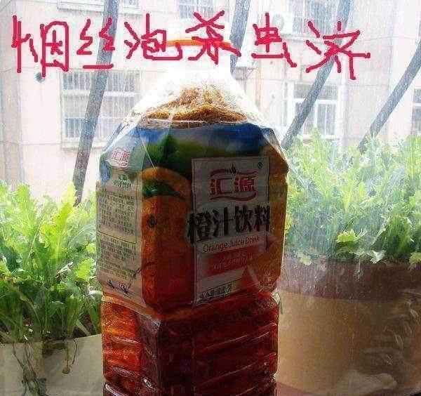 苍蝇咋灭_灭苍蝇最有效的方法室内_苍蝇灭室内有效方法是什么