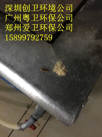 灭蟑螂的专业公司上门_上门灭蟑螂公司多少钱_上门杀蟑螂公司