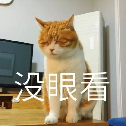 跳蚤的卵_跳蚤的卵_跳蚤的卵