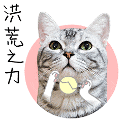 跳蚤的卵_跳蚤的卵_跳蚤的卵