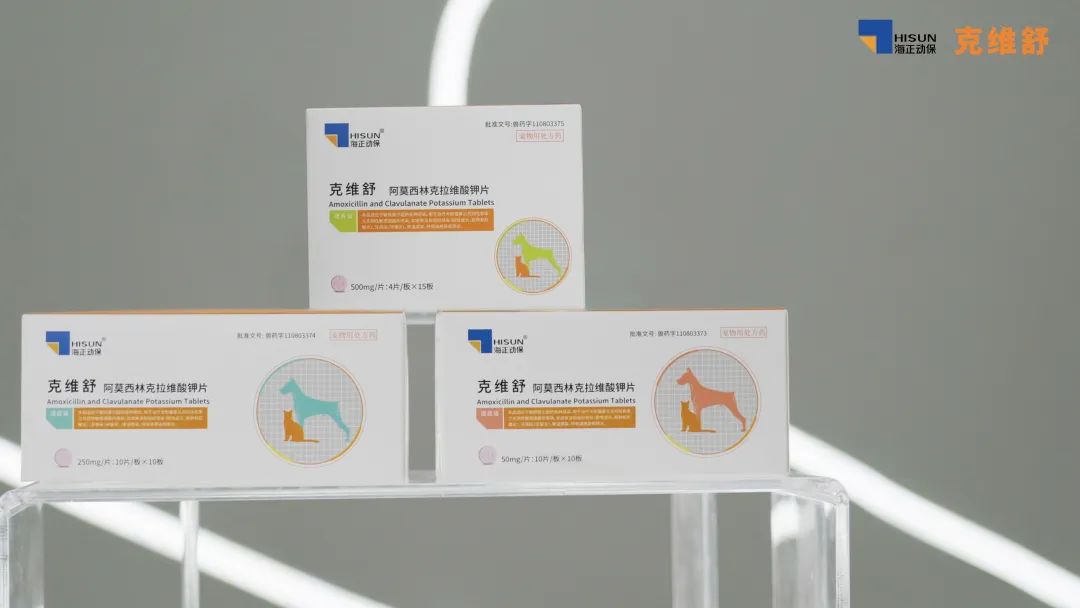 跳蚤的卵_跳蚤的卵_跳蚤的卵