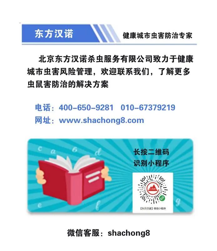 怎么去除虫子的臭味_除臭虫最简单的方法_虫除臭简单方法有哪些