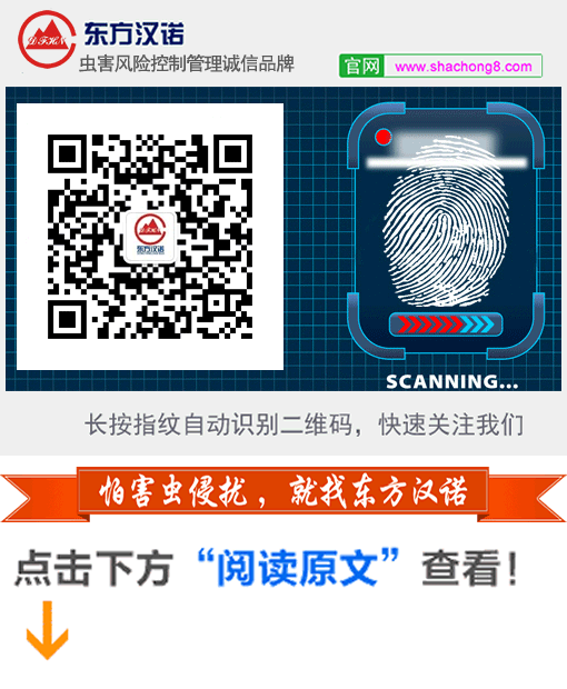 虫除臭简单方法有哪些_怎么去除虫子的臭味_除臭虫最简单的方法