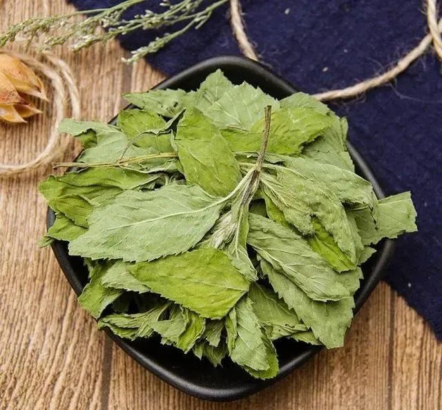 驱跳蚤有效方法是什么_驱跳蚤有效方法图片_驱跳蚤最有效的方法
