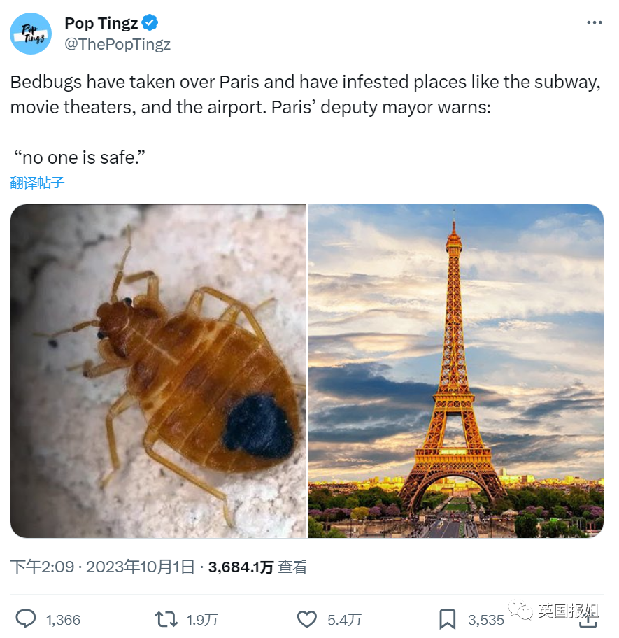 剂灭杀虫臭虫多久见效_灭杀臭虫用什么药好_灭臭虫杀虫剂