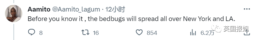 剂灭杀虫臭虫多久见效_灭杀臭虫用什么药好_灭臭虫杀虫剂