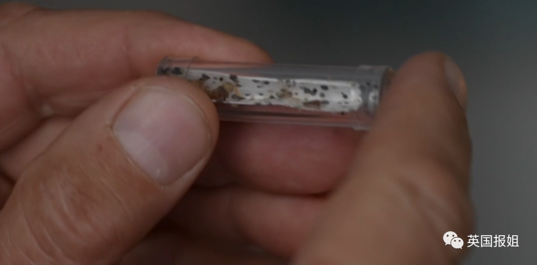 灭臭虫杀虫剂_剂灭杀虫臭虫多久见效_灭杀臭虫用什么药好