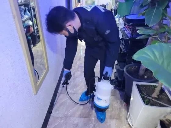 灭臭虫杀虫剂_杀臭虫药剂_剂灭杀虫臭虫多久见效